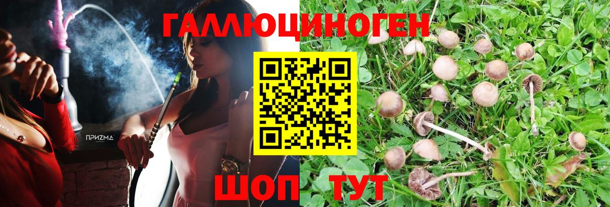 Белебей  Псилоцибиновые грибы GOLDEN TEACHER  Вход с VPN 