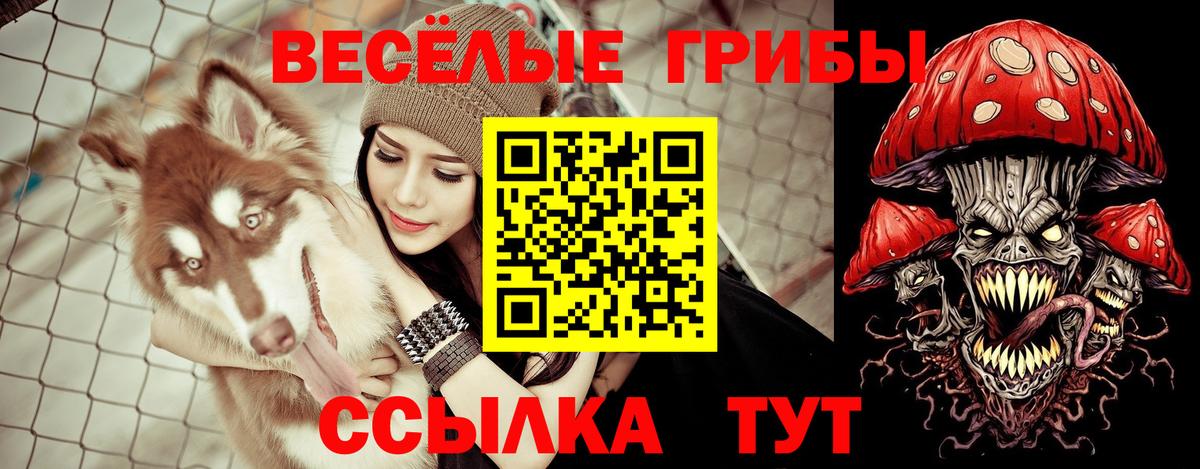 Галлюциногенные грибы ЛСД Белебей